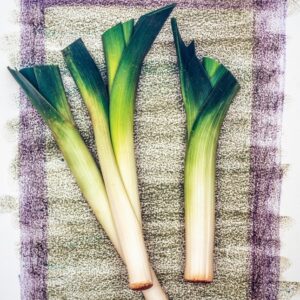 PORRI STILL LIFE - 4260