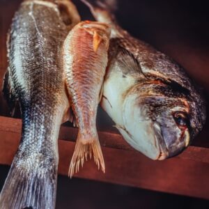 STILL LIFE PESCI - 4269