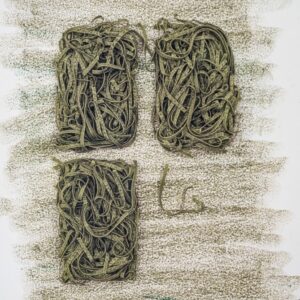 STILL LIFE TAGLIATELLE AGLI SPINACI - 4284