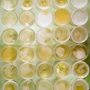 STILL LIFE BICCHIERI - 4284