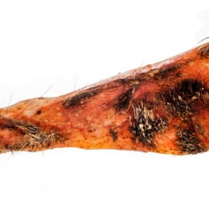 GUANCIALE CALABRESE - 0101
