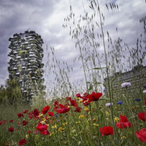 DECORO URBANO, CAMPO DI FIORI,  BOSCO VERTICALE MILANO - 0001