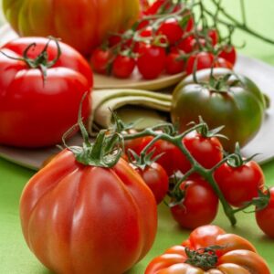 Varietà di pomodori - 5132