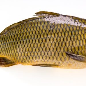 CARPA - K2678