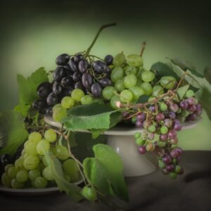 UVA BIANCA E UVA NERA - 2343