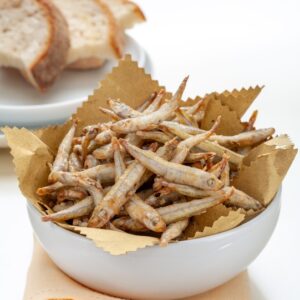 ALBORELLE (AOLE) FRITTE - VENETO - 2749