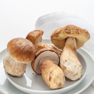 FUNGHI PORCINI - 2766