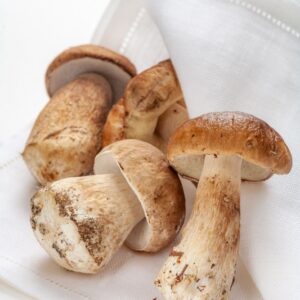 FUNGHI PORCINI - 2767