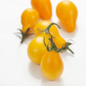 POMODORI CILIEGIA GIALLI - 3312