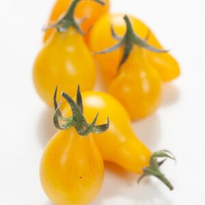 POMODORI CILIEGIA GIALLI - 3315