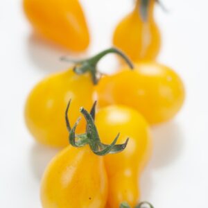 POMODORI CILIEGIA GIALLI - 3316