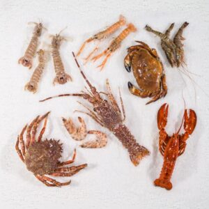 CROSTACEI - K1267