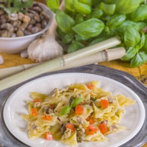 TACCONELLI CON LUMACHE DI MARE - GT6J3063