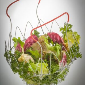 SCOLARE INSALATA - K7971