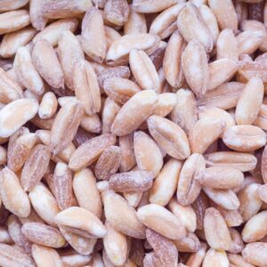 FARRO PERLATO - 4886