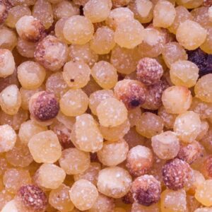 FREGULA - 4890
