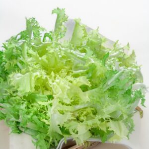 INDIVIA RICCIA - 4273