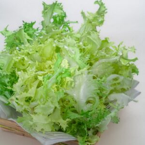 INDIVIA RICCIA - 4272