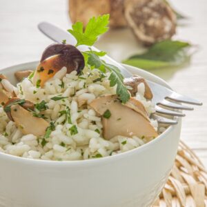 RISOTTO AI PORCINI - 4290