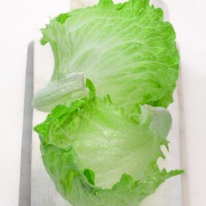 LATTUGA ICEBERG - 4287