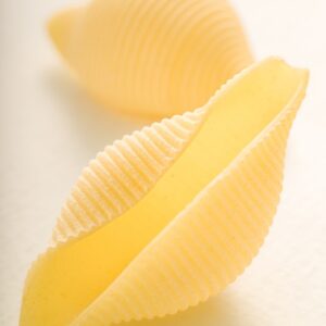 CONCHIGLIONI - GT6J3012