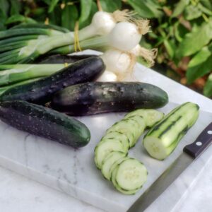 GAZPACHO (Step 3) - S93920