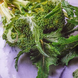 CIME DI RAPA - S01890 - 8295