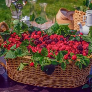CESTO CON FRUTTI DI BOSCO - S83830 - 8311