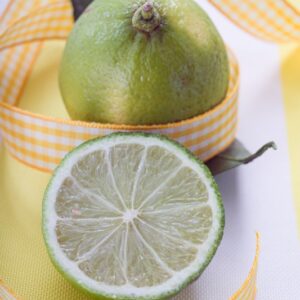 DOLCI REGALI - LIME - K2638
