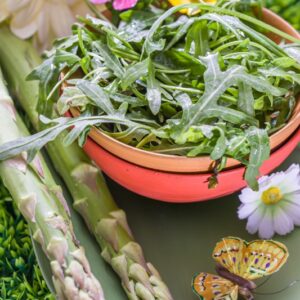 RUCOLA ASPARAGI E INSETTO - K9320