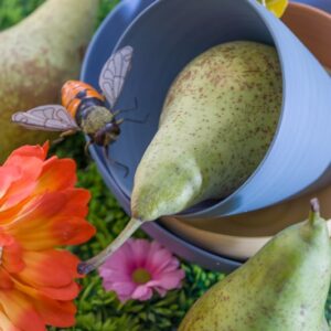 PERE E INSETTO - K9204