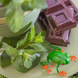 MENTA E CIOCCOLATO - K9187