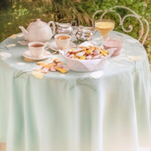 COLAZIONE IN ESTERNO BISCOTTI DI NOVARA CON GLASSA - 2726