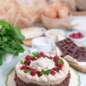 TORTA AL CIOCCOLATO E MERINGHE - 2974