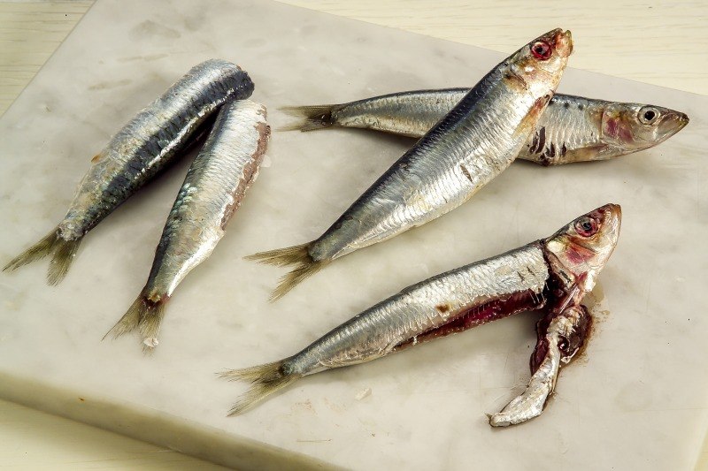 SARDE IN SAOR (STEP 1) - 1825 - immagine 1