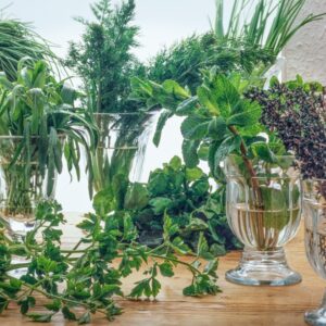 STILL LIFE ERBE AROMATICHE - S37860 - 5454