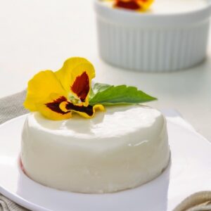 PANNA COTTA ALLA VIOLA - 1526