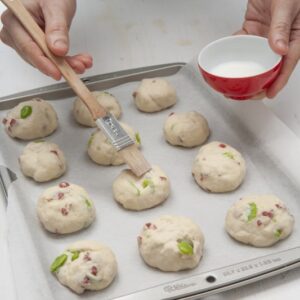 PANINI - (Step 4) - 0004