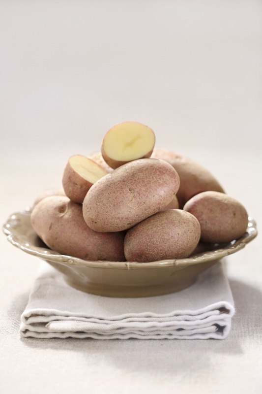 PATATE ROSSE A PASTA GIALLA - 1873