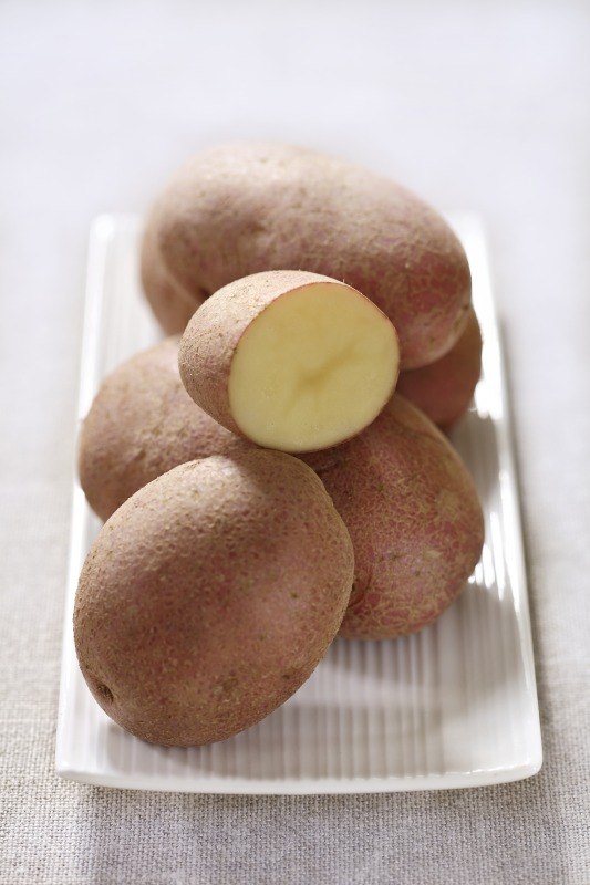 PATATE ROSSE A PASTA GIALLA - 1876