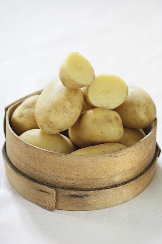 PATATE GIALLE A PASTA GIALLA - 1879