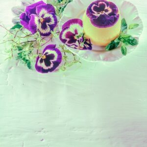 PANNA COTTA ALLA VIOLA - S 67930 - 4577