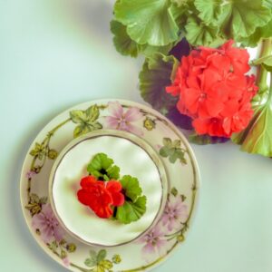 CREMA AL GERANIO - A21860 - 4791