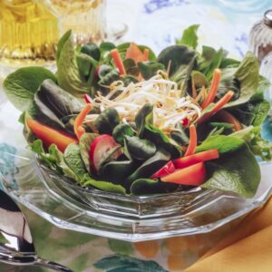 INSALATA CON GERMOGLI DI SOIA – S 49920 – 1741