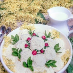 SORBETTO DI SAMBUCO - GR 2210 - 4583