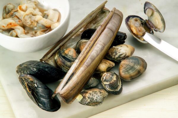 CROSTINI ALLA GENOVESE (STEP 1) - GT6J2292