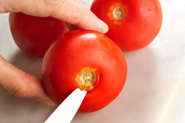 FIORI DI POMODORI (STEP 1) - 2204