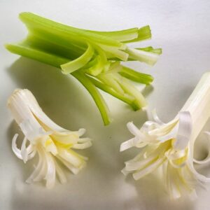 RICCIOLI DI CIPOLLOTTTI - 2227