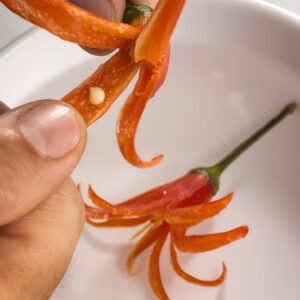 STEP 3 FIORI DI PEPERONCINI - 2232