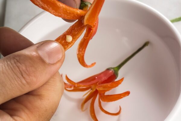 STEP 3 FIORI DI PEPERONCINI - 2232